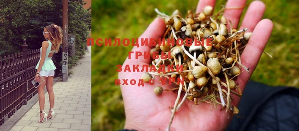 марки nbome Баксан