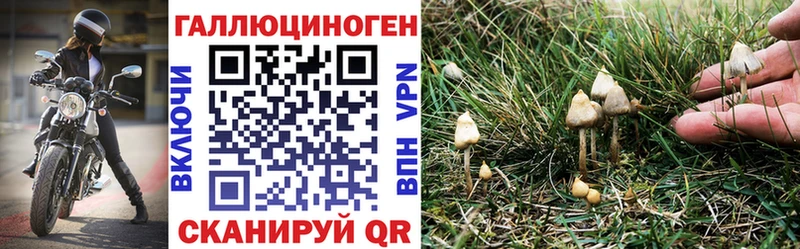 Псилоцибиновые грибы GOLDEN TEACHER  darknet состав  Ливны 